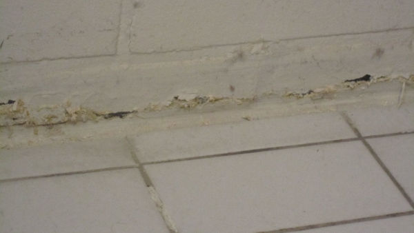 Kosteusvaurio- ja homevauriokorjaukset pääkaupunkiseudulla